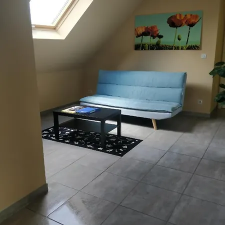 Διαμέρισμα Appartement Colmar Κολμάρ